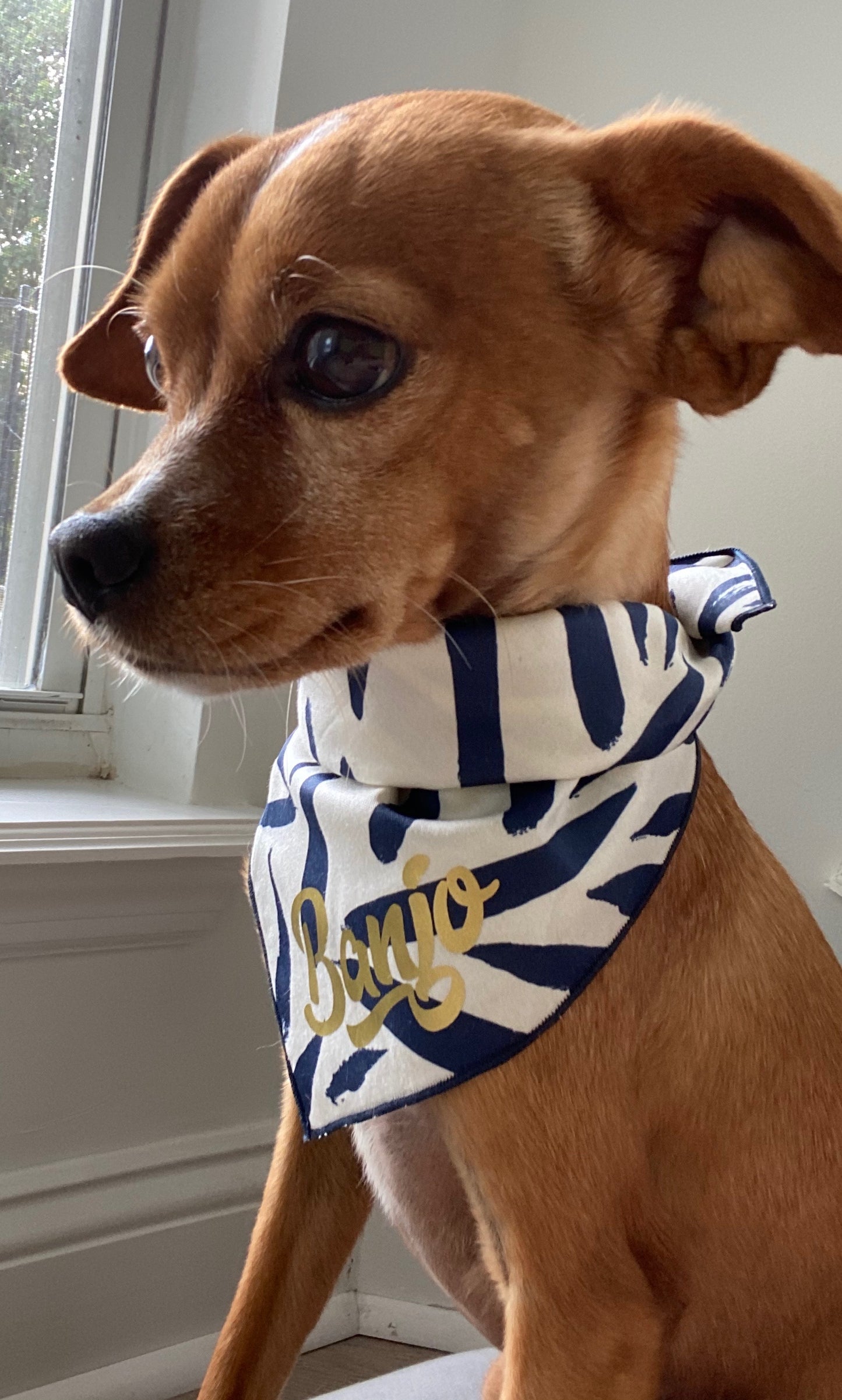 MIDNIGHT BOTANICAL dog bandana