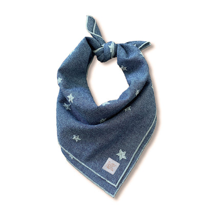 CHAMBRAY DREAMS dog bandana