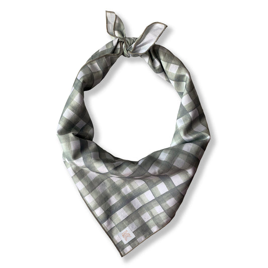 GIMME SOME GINGHAM dog bandana